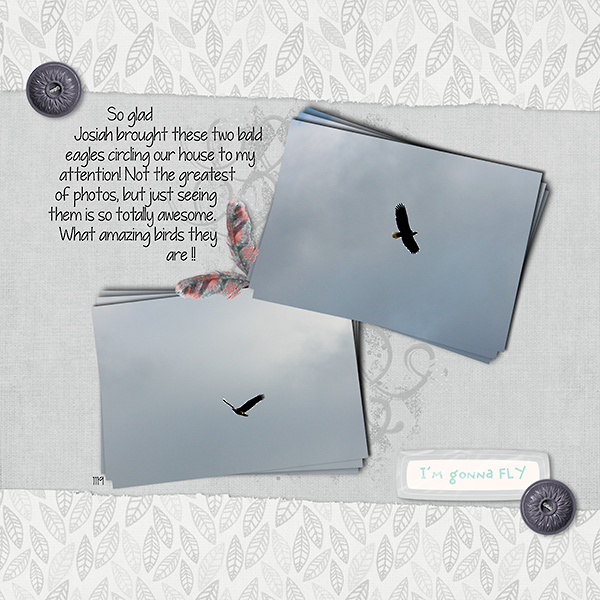 Inspiration Challenge ~ Nov 15