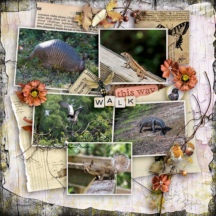Inspiration Challenge   /Nov 2025