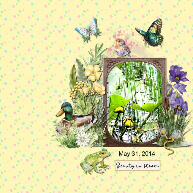 Inspiration Spring