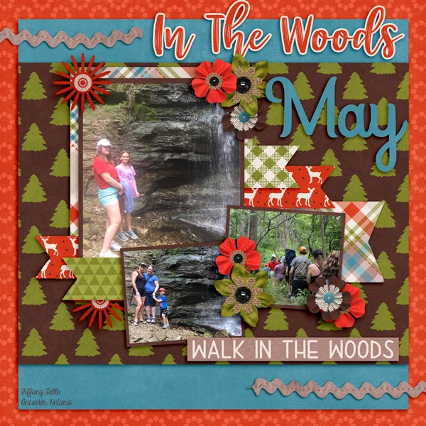 INTHEWOODS