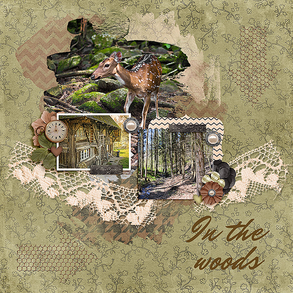 InTheWoods