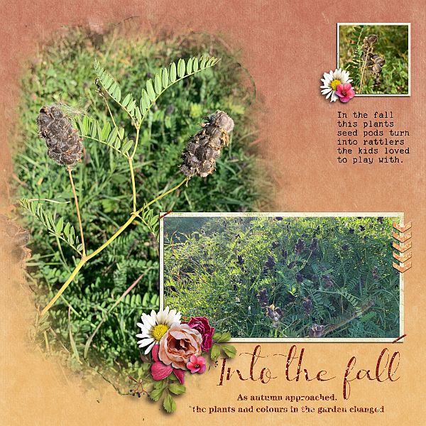 Into the Fall