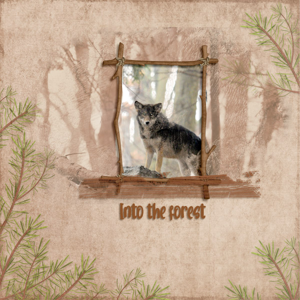 Into the forest