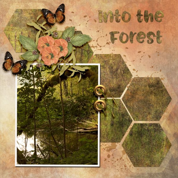 Into-the-Forest