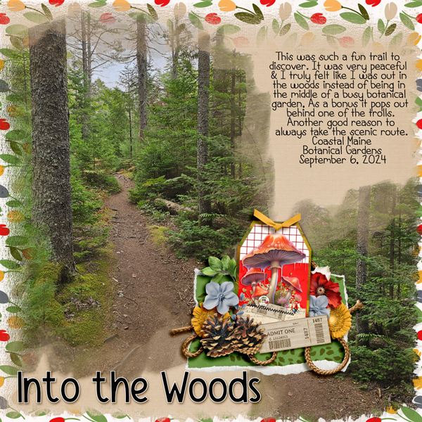 Into the Maine woods