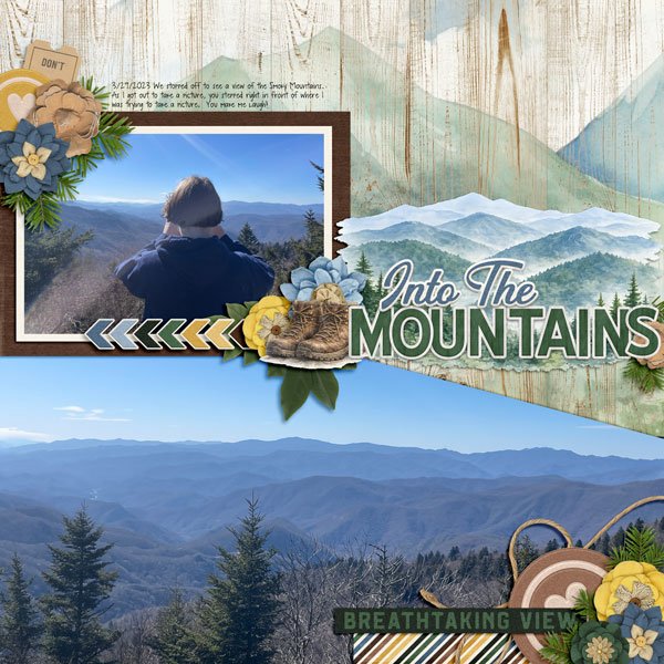 Into-the-Mountains.jpg