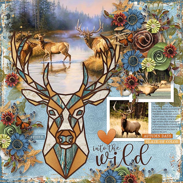 INTO THE WILD