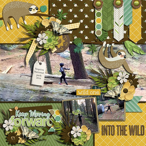 Into the wild