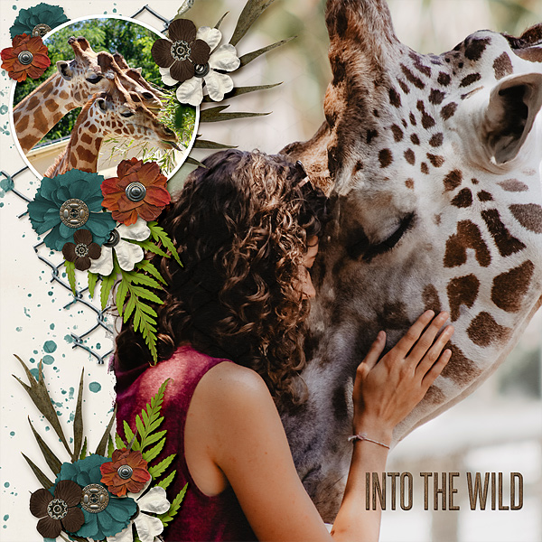 Into the Wild