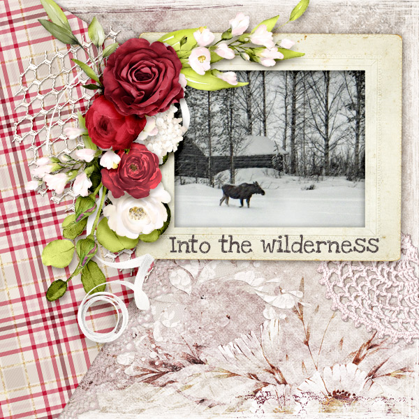 Into-the-wilderness