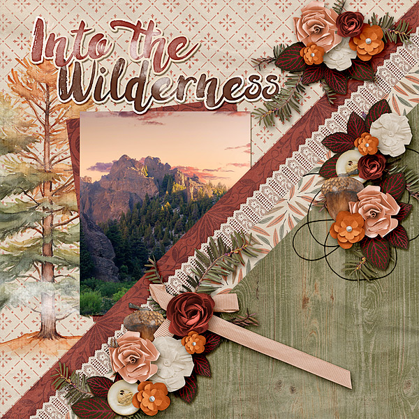 Into the Wilderness