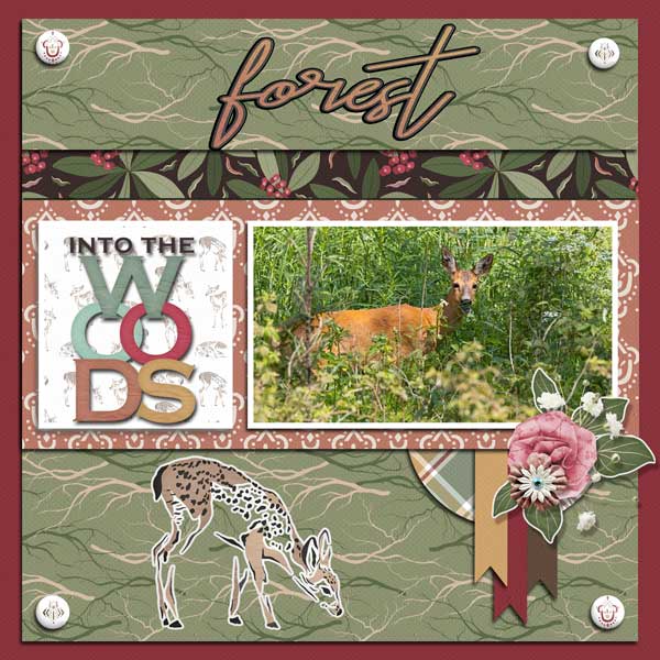 into-the-woods-cornelia-SCR