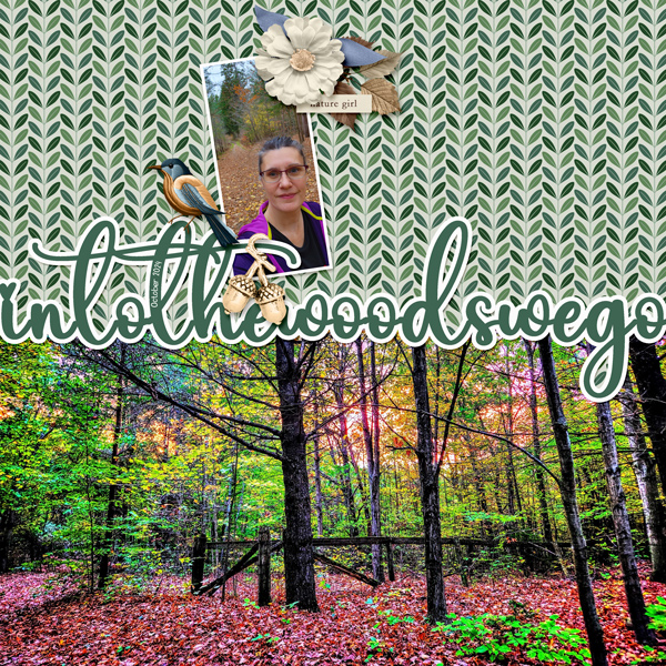 Into The Woods We Go