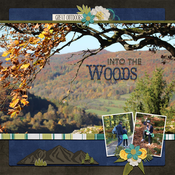 into the woods