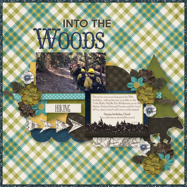 Into the Woods