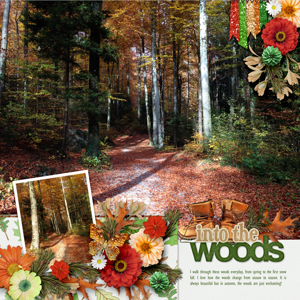 Into The Woods