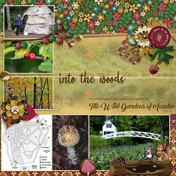 Into the Woods