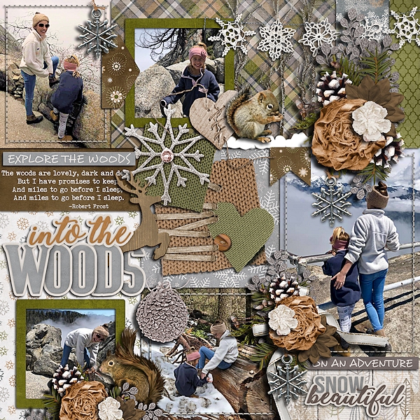 Into the woods