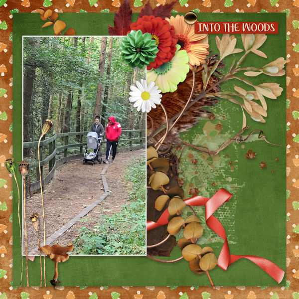 Into The Woods
