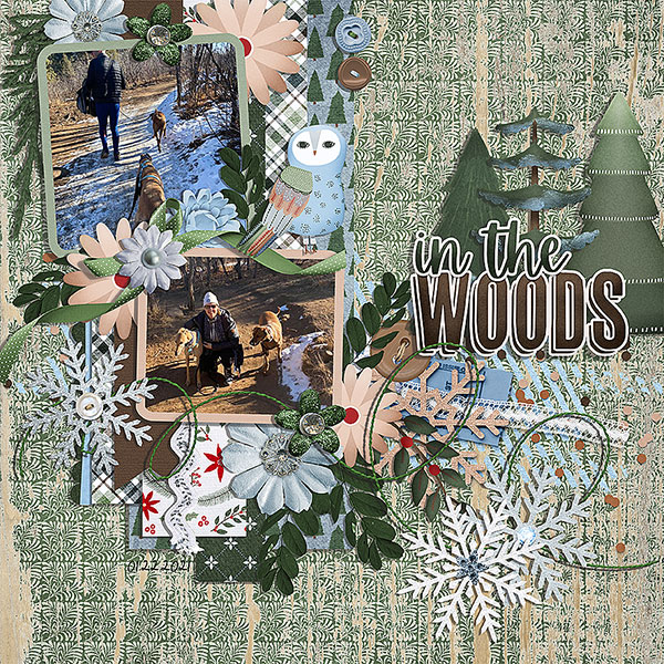 into the woods