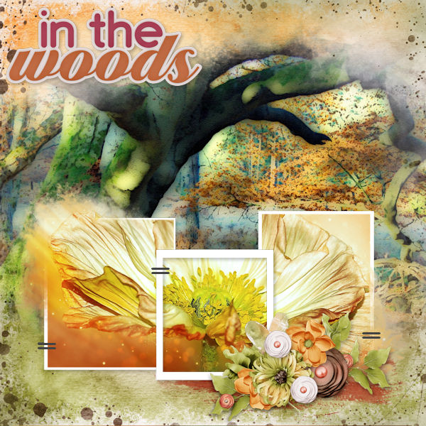 Into the Woods