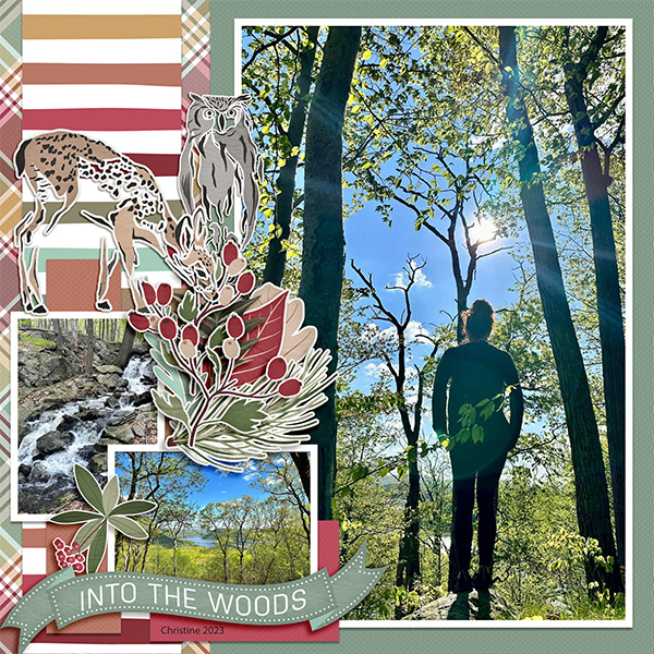 Into The Woods