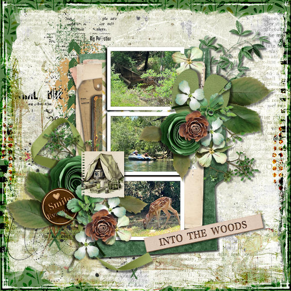 Into The Woods