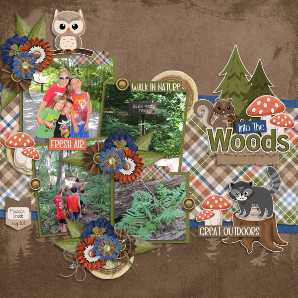 Into the Woods