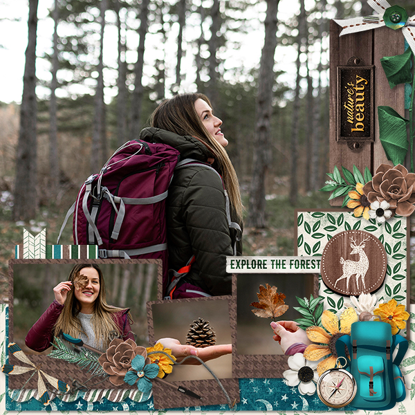 Into The Woods