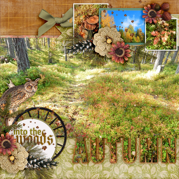 Into-the-woods1