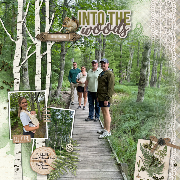 Into Woods
