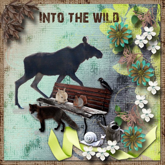 Into_the_wild