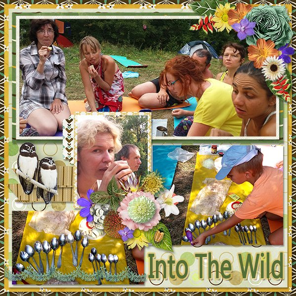 IntoTheWild_ollitko_600.jpg