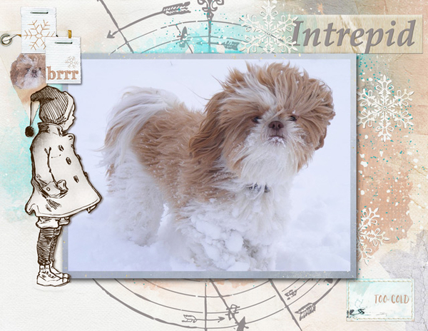 Intrepid