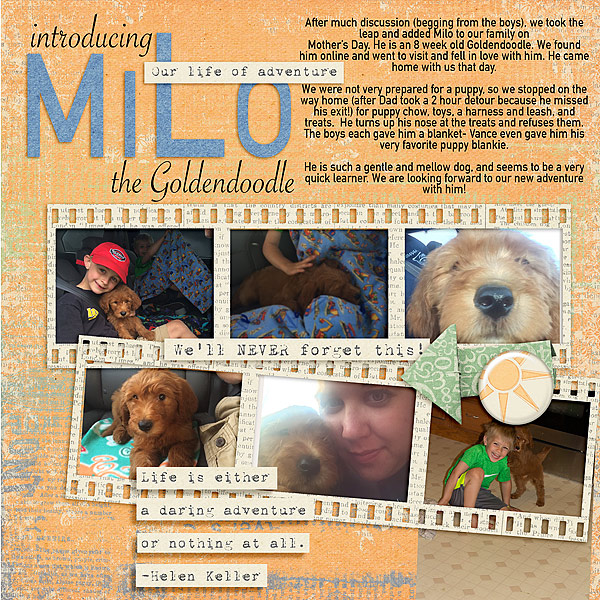 Introducing-milo-copy