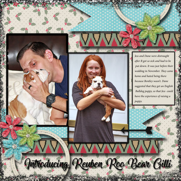 Introducing Reuben Roo Bear Gilli