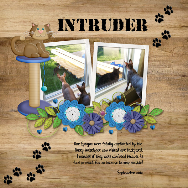 Intruder