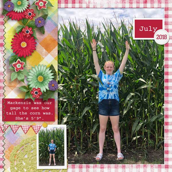 Iowa Corn - 2018