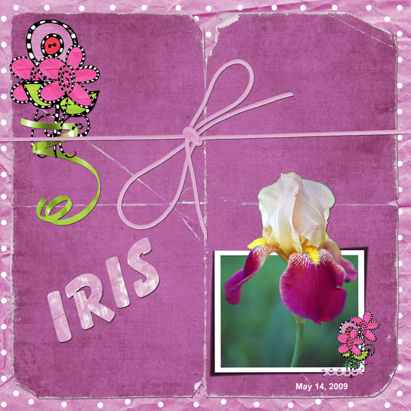 Iris 2