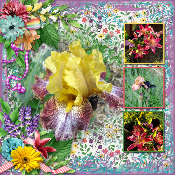 Iris and Lillies