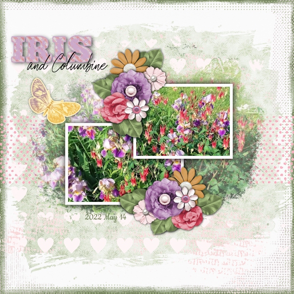 Iris + Columbine