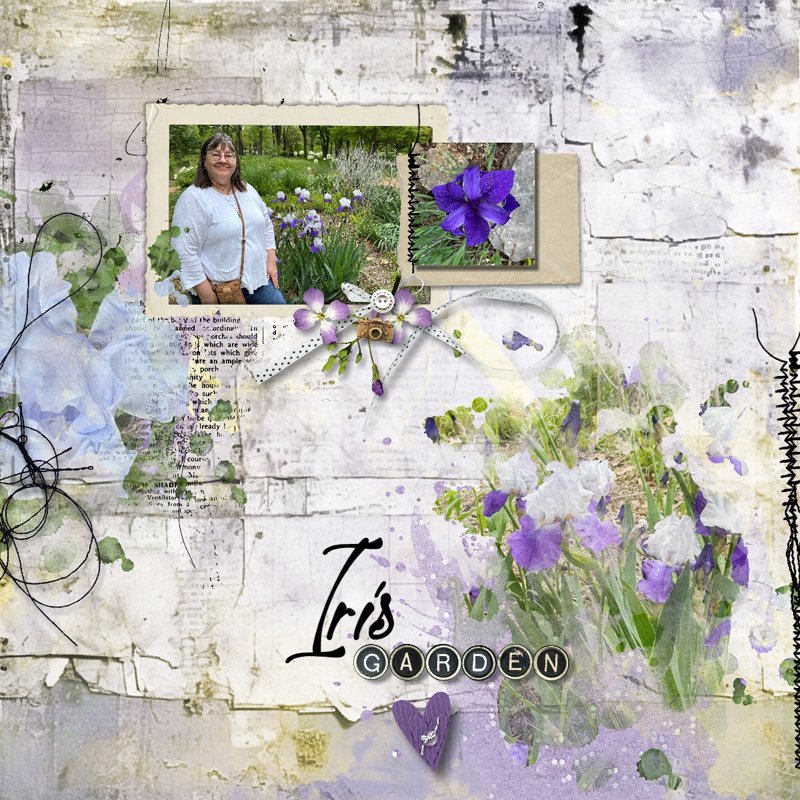 Iris Garden.jpg