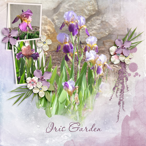 Iris Garden