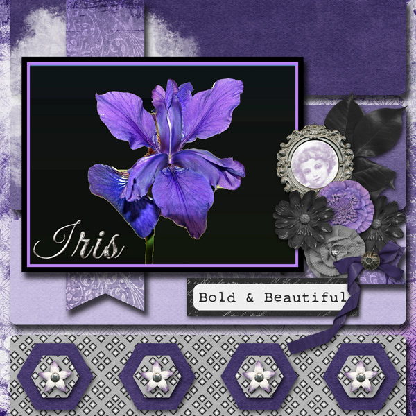 Iris