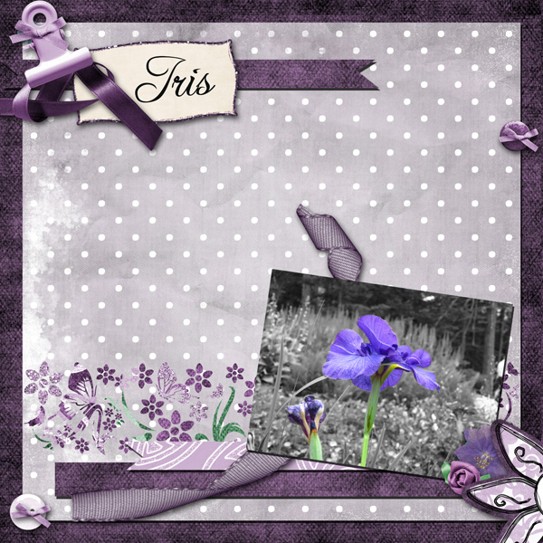 Iris