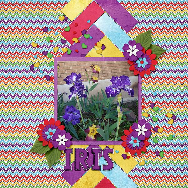 Iris