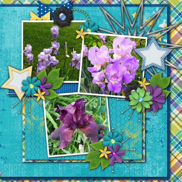 Iris