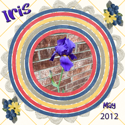Iris