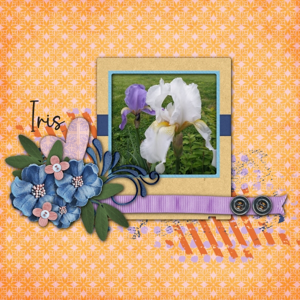 Iris