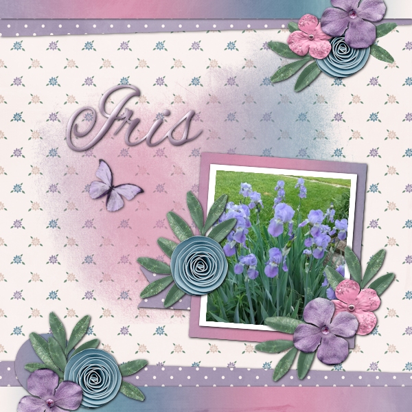 Irises